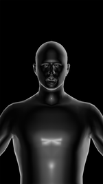 MP SET UP KIT | CREATORS