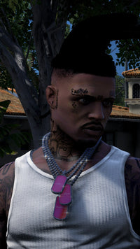 DOG TAG CHAINS MP MALE